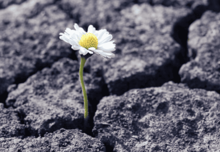 Keep Moving Forward and growing